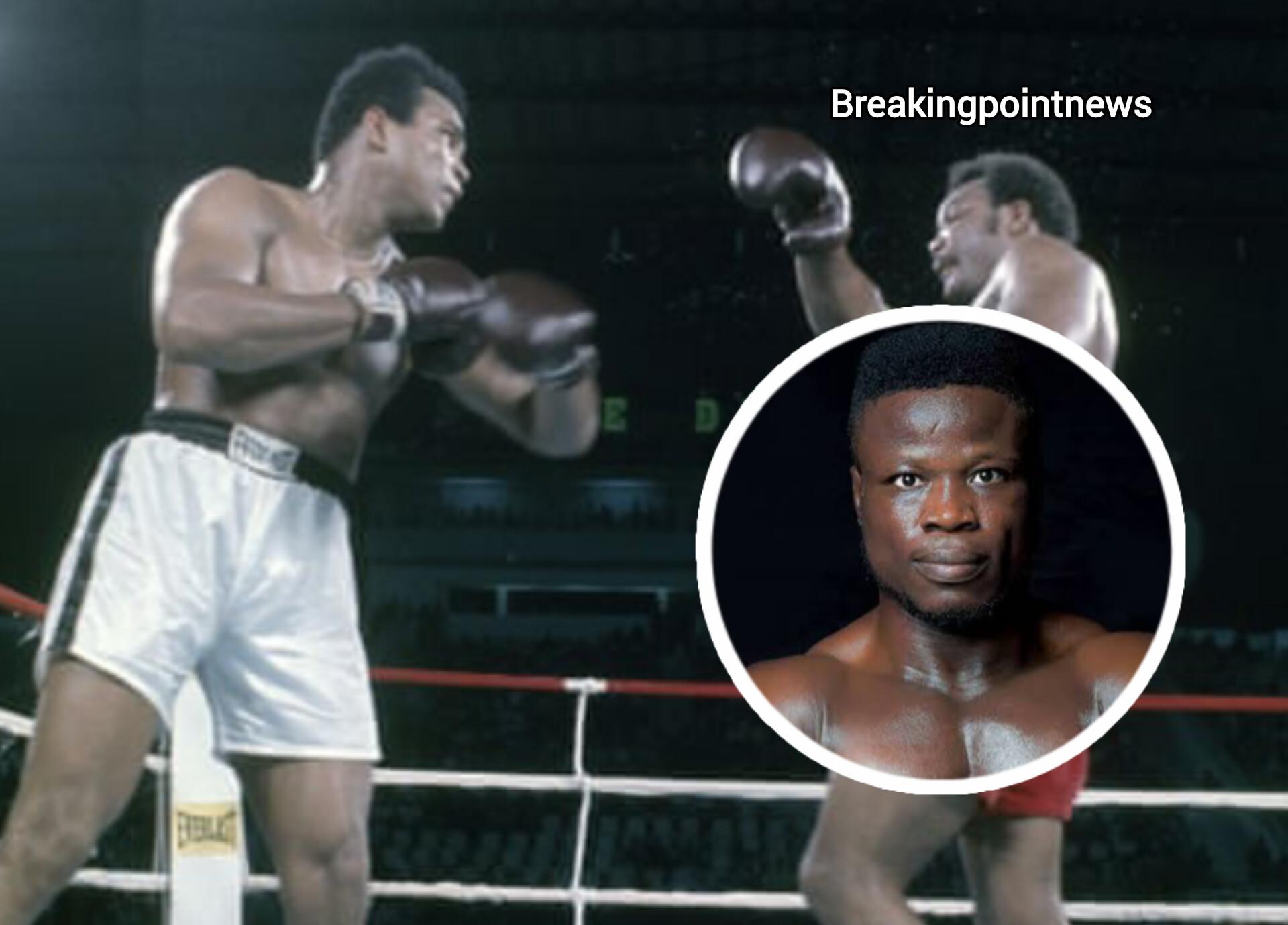 Rumble in Kinshasa: Africa’s Fiercest Boxers Battle for Total Glory!